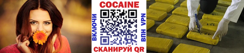 COCAIN Эквадор  купить наркотики сайты  гидра ONION  Горно-Алтайск 