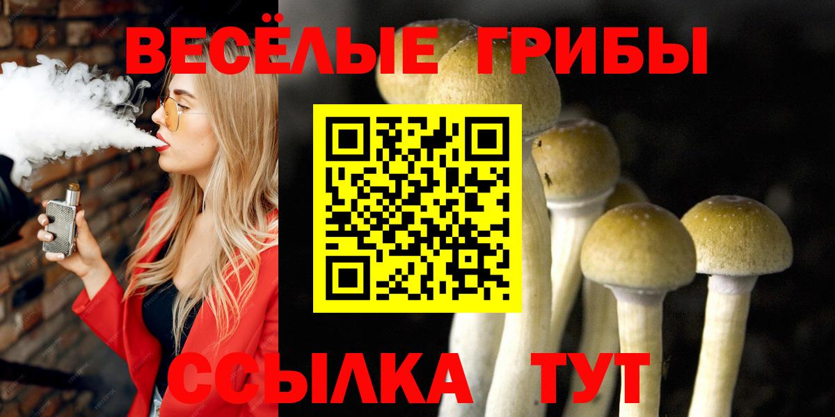 Галлюциногенные грибы MAGIC MUSHROOMS Горно-Алтайск